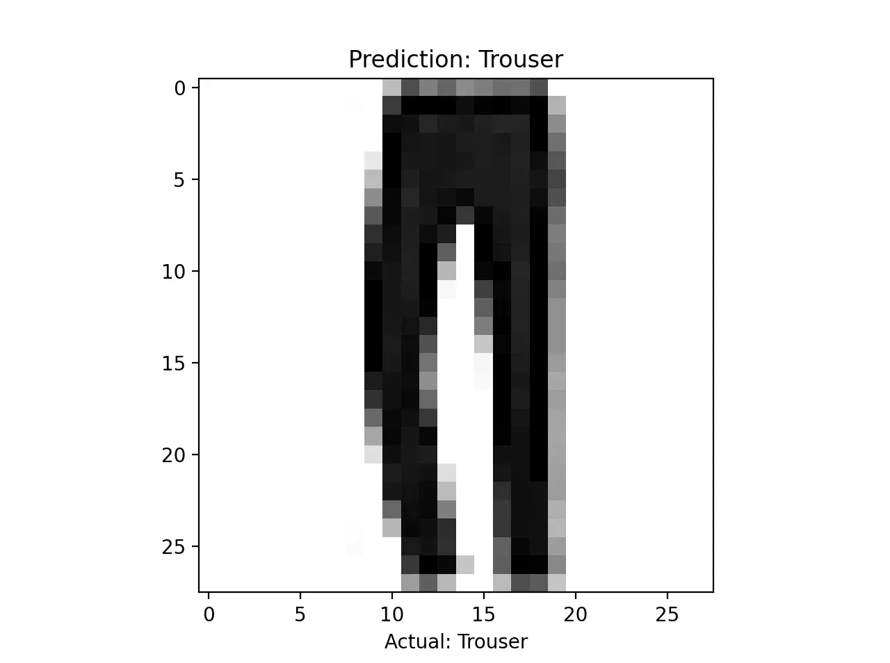 A predicted and actual label shown against the input image