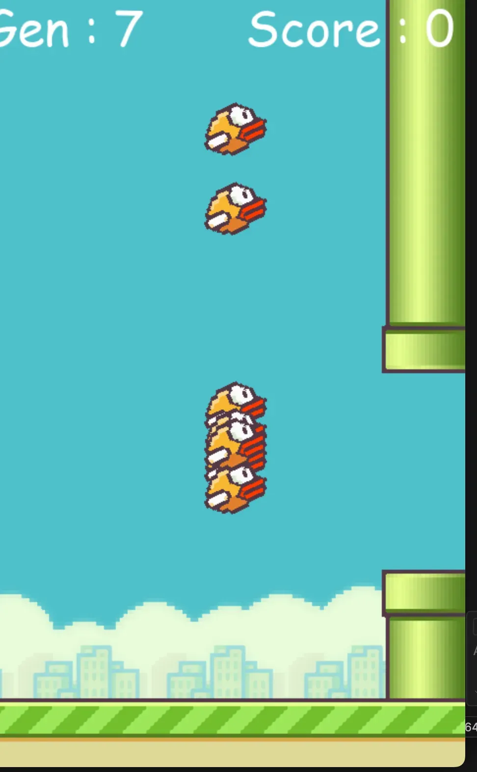 Several birds from one generation attempting the same gap